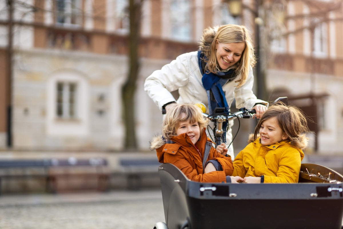 Bakfiets accessoires geschikt voor Urban Arrow door Qiewie